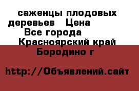 саженцы плодовых деревьев › Цена ­ 6 080 - Все города  »    . Красноярский край,Бородино г.